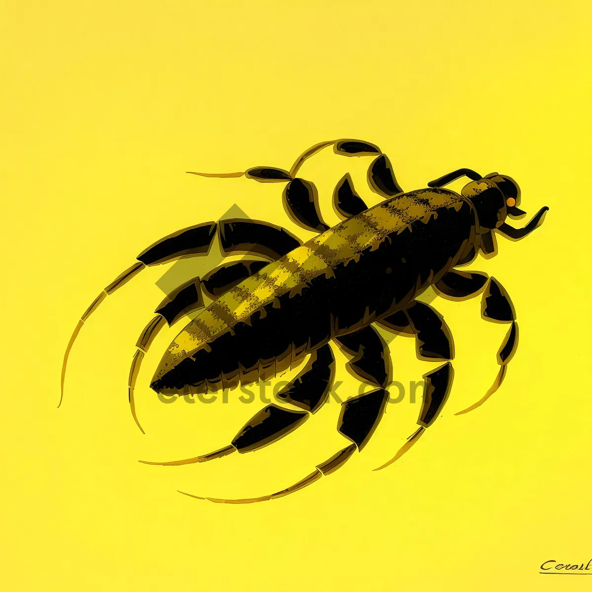 Picture of Arthropod Insect Crustacean Lobster Scorpion Louse Close-Up