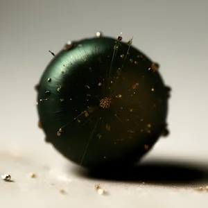 Juicy Kiwi and Ladybug on Woody Plant