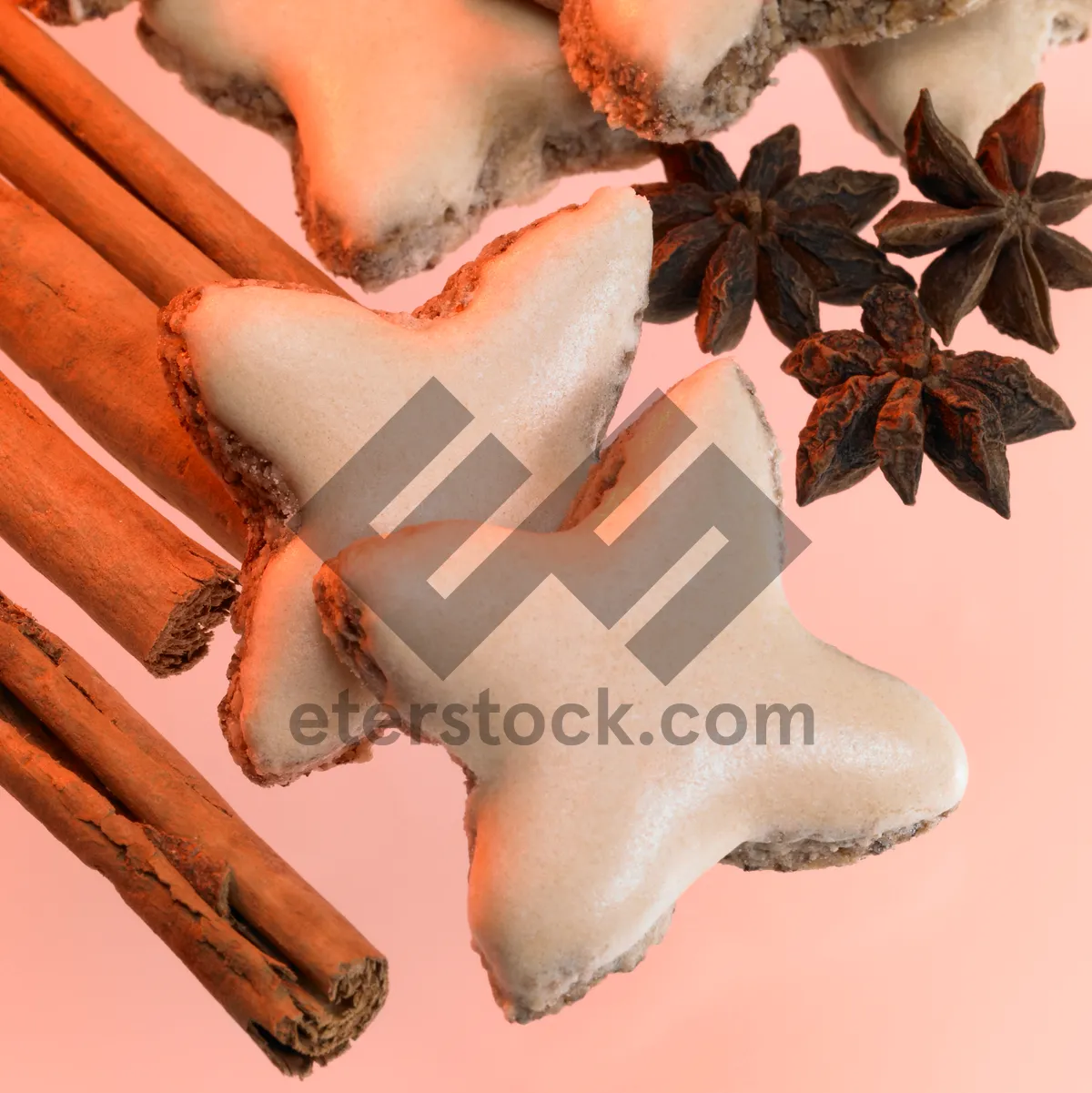 Picture of animal invertebrate gastropod mollusk starfish conch shell sea grass wildlife wildlife ocean beach coastal wildlife nature sea life tropical underwater