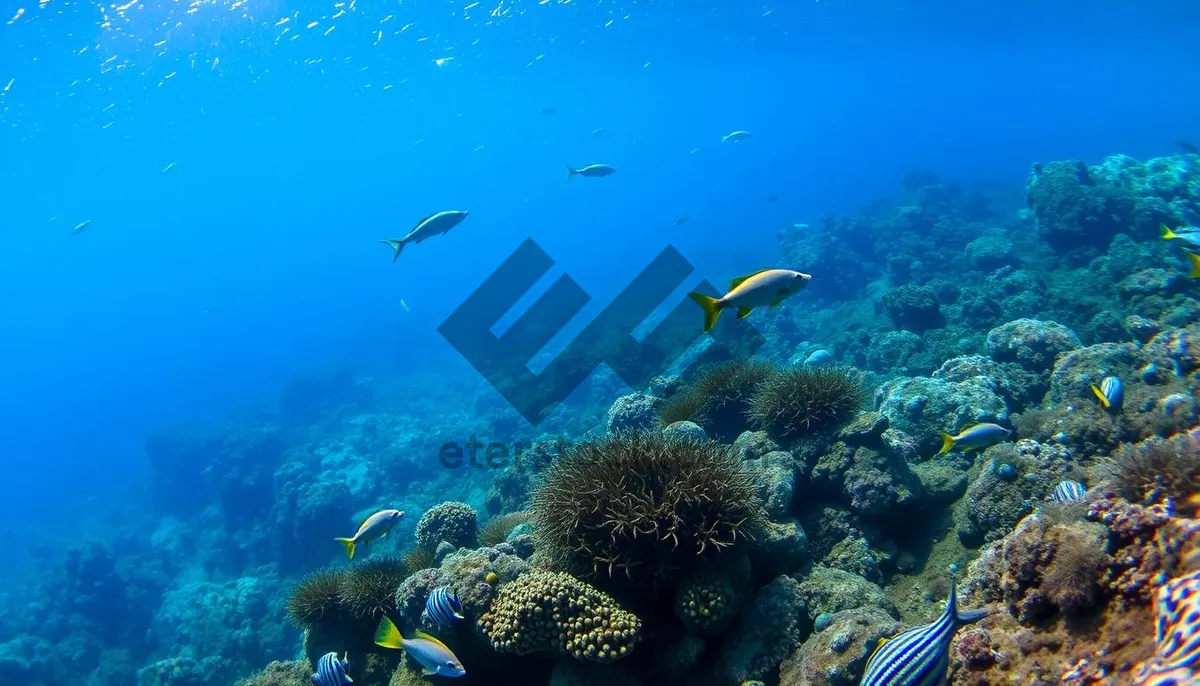 Picture of Colorful coral reef teeming with tropical fish underwater.