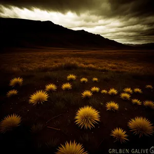 Vibrant Sunflower: A Bright Floral Meadow