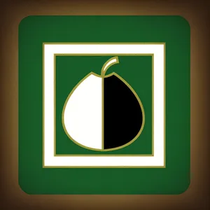 Modern Square Button with Key Icon