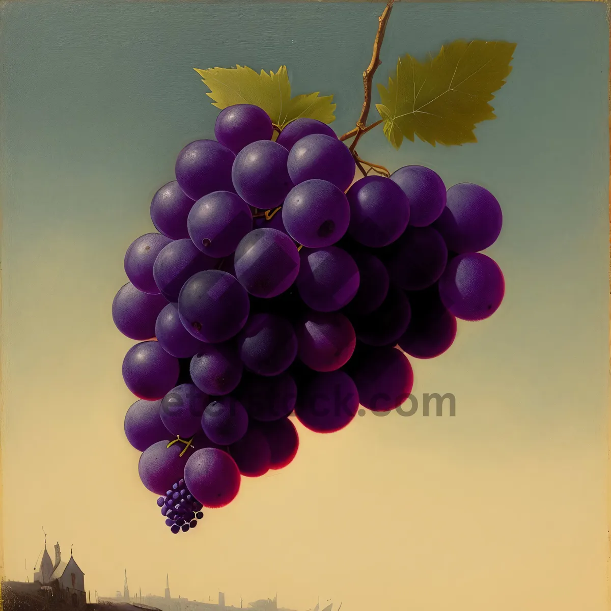 Picture of Autumn Harvest: Juicy Muscat Grapes in a Purple Bunch