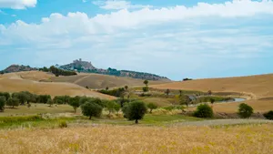 Summer Mountain Farm Landscape with Wheat Harvest