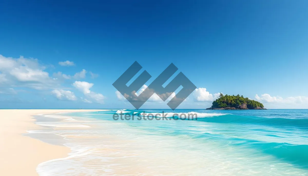 Picture of Tropical Coastline Paradise with Clear Turquoise Waters