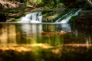 Soothing waterfall in a serene forest landscape