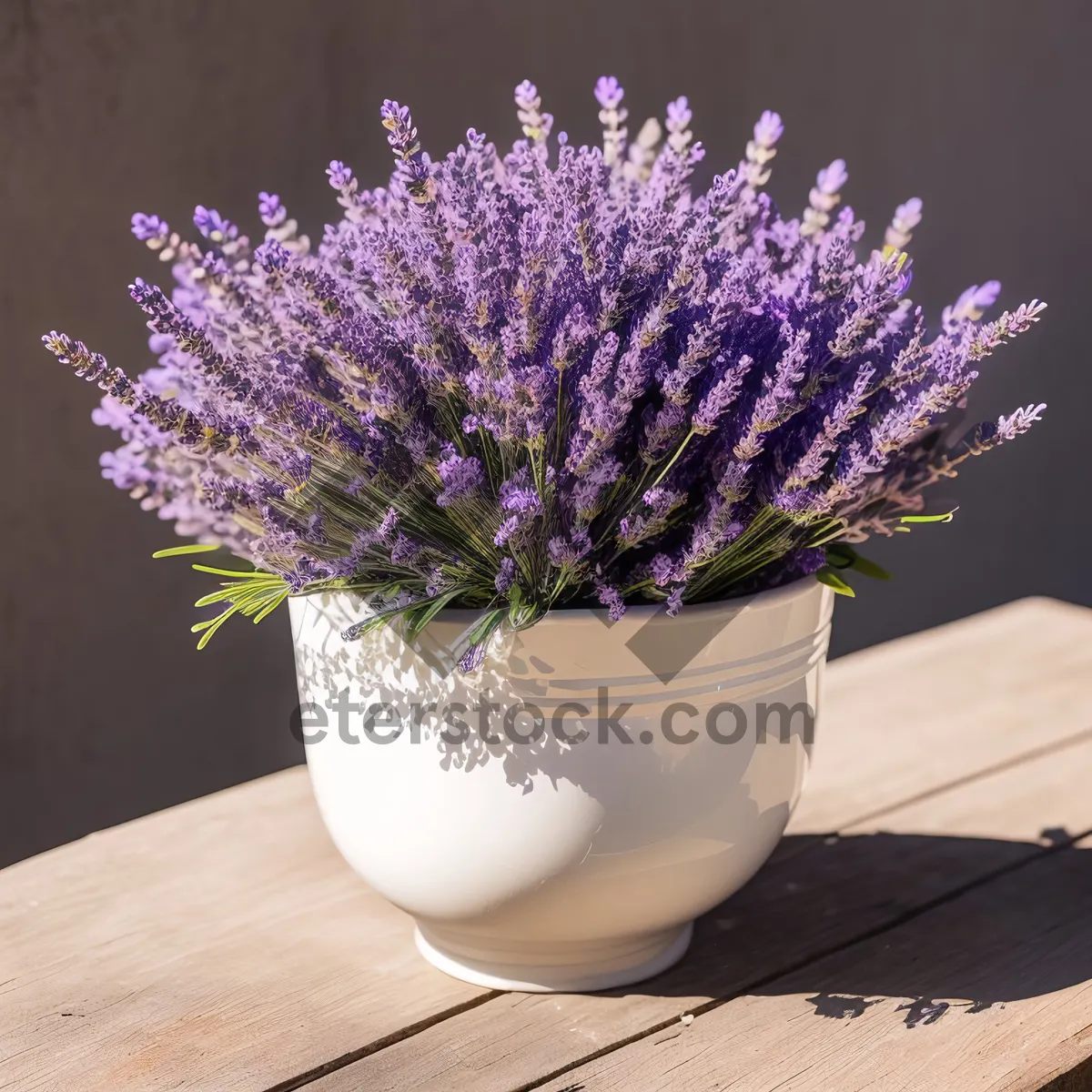 Picture of Lush Purple Lavender Blossom in Vase