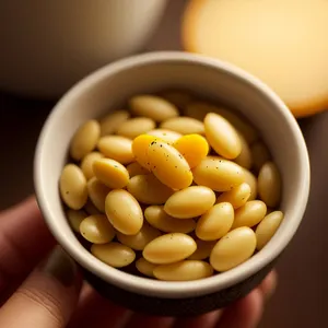 Fresh Organic Vegan Legume Salad