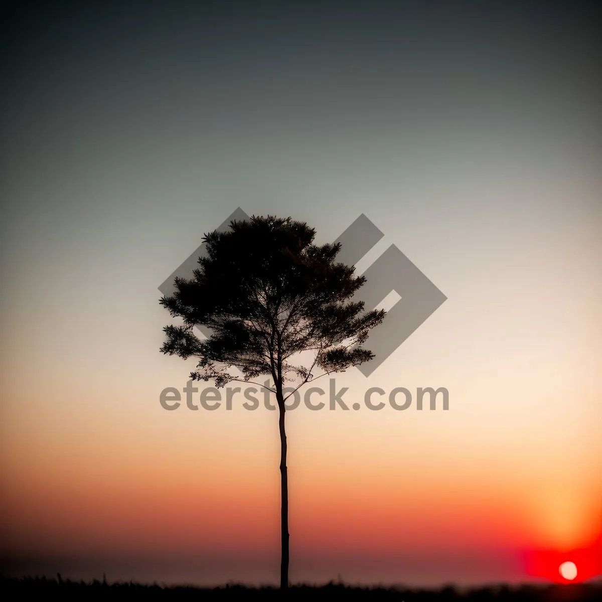 Picture of Golden Summer Sky over Countryside Meadow