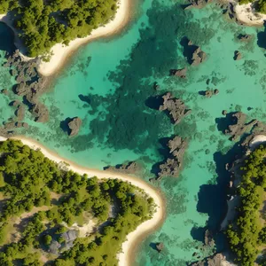 Tropical Serpent Slithering through Turquoise Reef