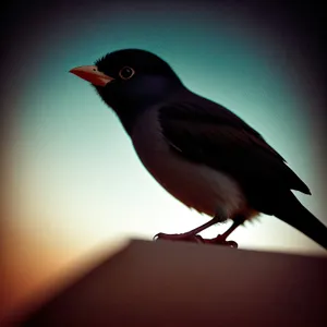 Enchanting Nightingale: Majestic bird with captivating plumage
