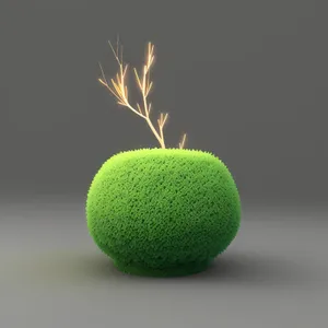 Lime Tennis Ball - Fresh and Juicy Game Equipment