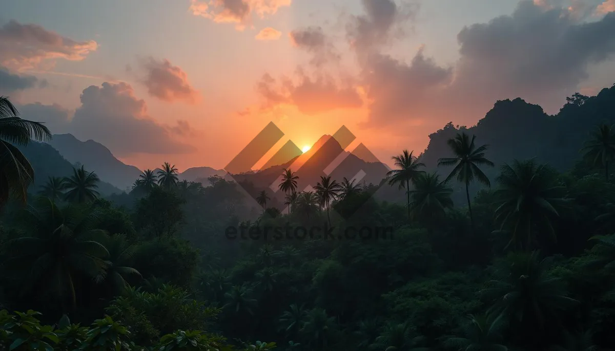 Picture of Majestic mountain silhouette at sunset against starry sky