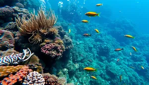 Colorful Tropical Fish Underwater Sunbeam Reef