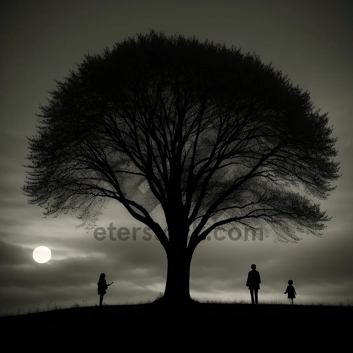 Picture of Sunset Silhouette Behind Winter Trees