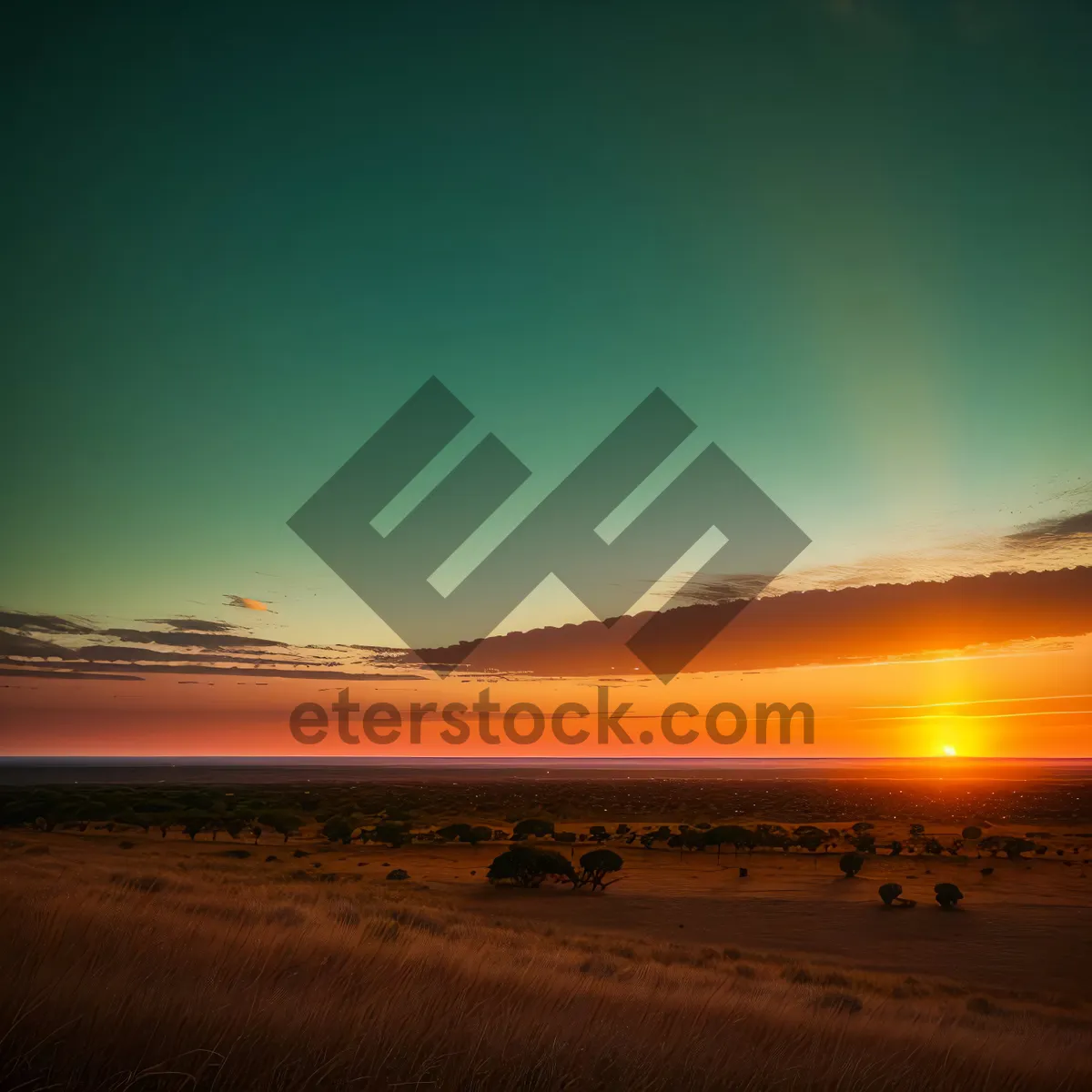 Picture of Golden Sunset over the Tropical Beach