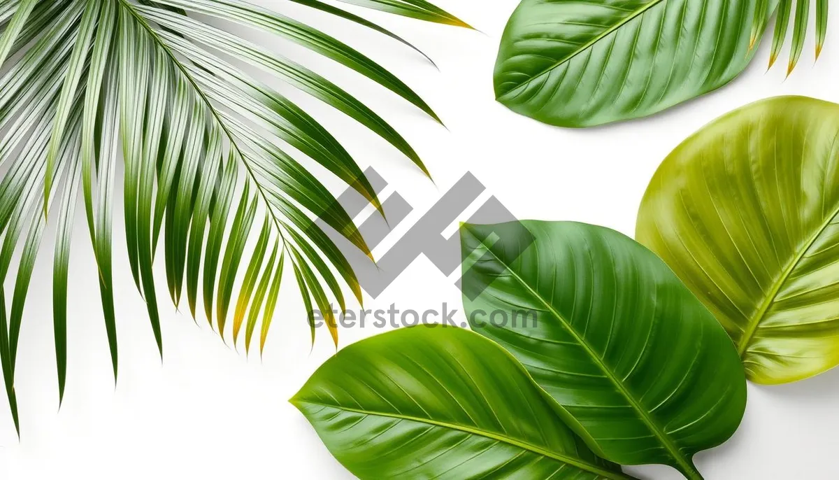 Picture of Bamboo Summer: Vibrant Green Leafy Pattern Wallpaper