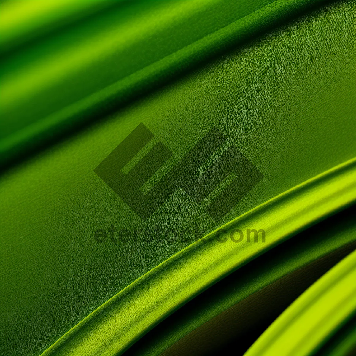 Picture of Vibrant Spring Foliage: A Lively Burst of Nature's Palette.