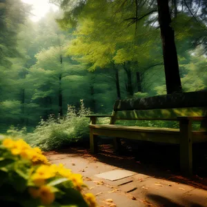 Wooden bench in scenic autumn park landscape