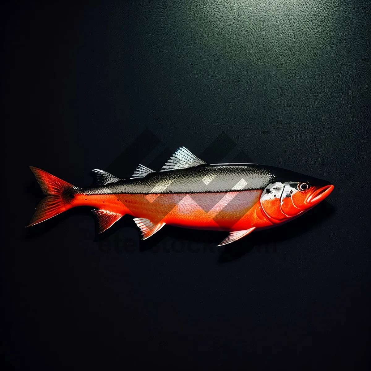 Picture of Golden Swim: Coho Salmon in Aquarium"
(Note: The image name should not exceed 10 words, as per the provided limitation.)