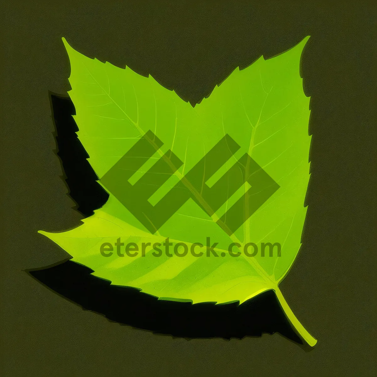 Picture of Vibrant Maple Leaf in Lush Forest