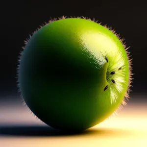 Juicy Kiwi Slice: Fresh and Healthy Tropical Snack