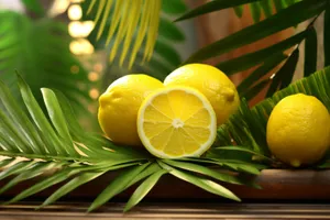 Sweet and Juicy Orange Slices on Plate