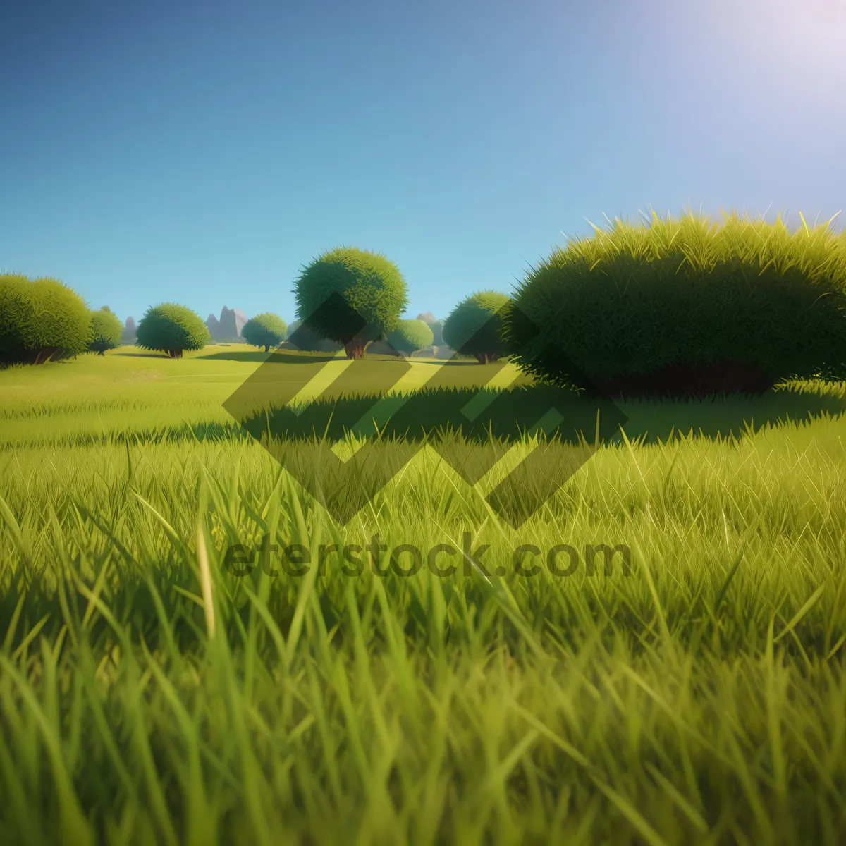 Picture of Golden Wheat Field Under Clear Sky