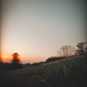 Serene Sunset Over Rural Meadow"
OR
"Sunrise Illuminating Countryside Landscape