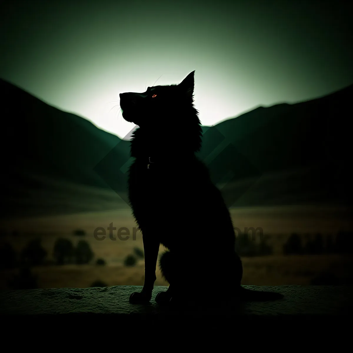 Picture of Silhouette of Shepherd Dog Leashed at Sunset on Beach