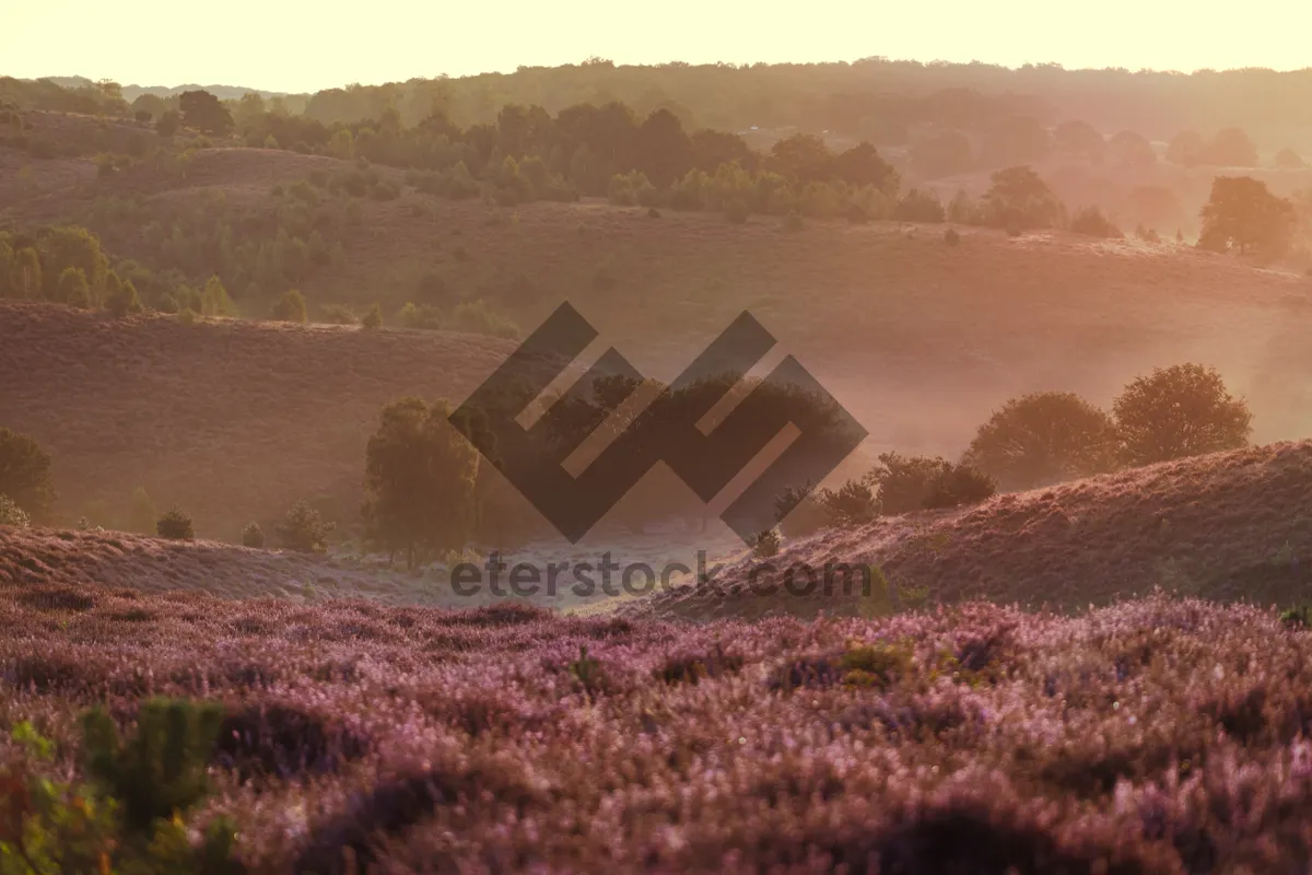 Picture of Scenic mountain landscape with a river flowing.