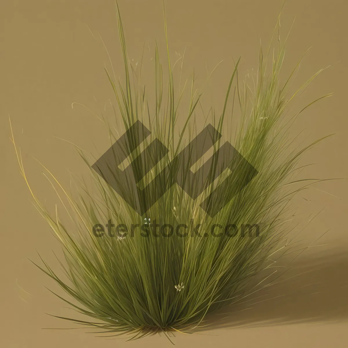 Picture of Vibrant Flax Field: Lush Wheat Cereal under Golden Sunlight