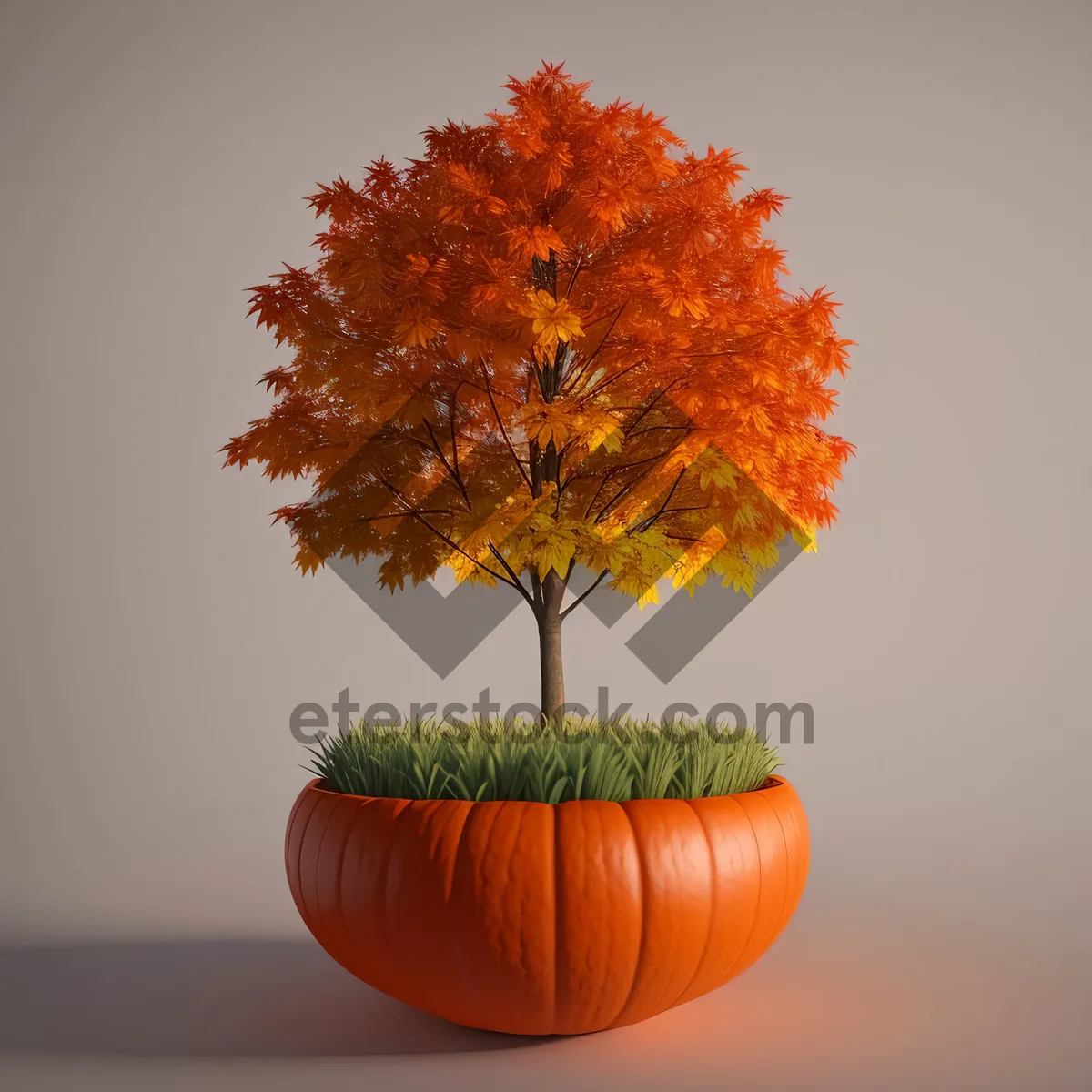 Picture of Autumn Maple Leaf Amidst Colorful Foliage