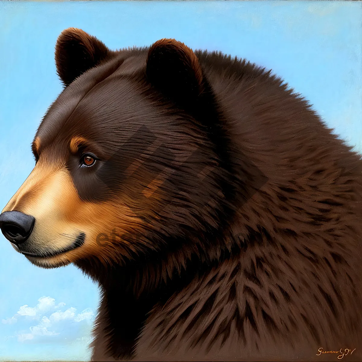 Picture of Cute Brown Bear Canine - Wild Mammal