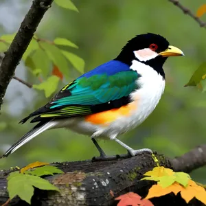 Cute Cuckoo Perched on Branch, Admiring Surrounding Nature