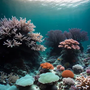 Colorful Coral Reef: A Vibrant Underwater Marine Paradise