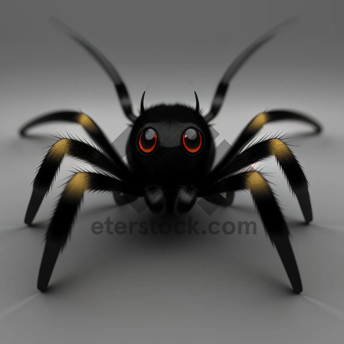 Picture of Close-up Shot of Black Widow Spider