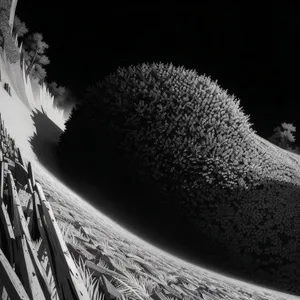 Spiny Mammal on Thatched Roof Among Cacti