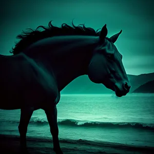 Serenity Unleashed: Majestic Stallion Galloping at Sunset