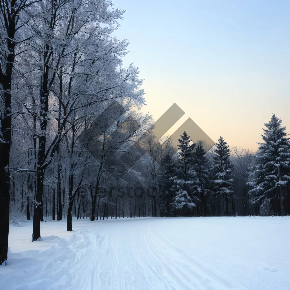Picture of Frozen Winter Wonderland Amidst Scenic Forest