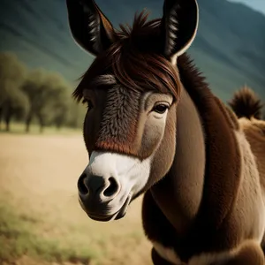 Thoroughbred Stallion Grazing in Green Pasture