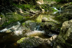 Tranquil waterfall in a lush forest landscape.