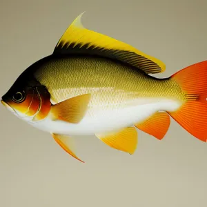 Tropical Goldfish Swimming in Aquarium Bowl