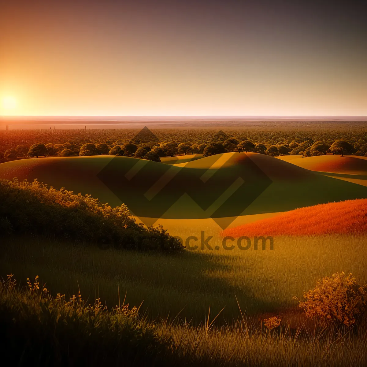 Picture of Golden Horizon: Sunset Beachscape over the Sea