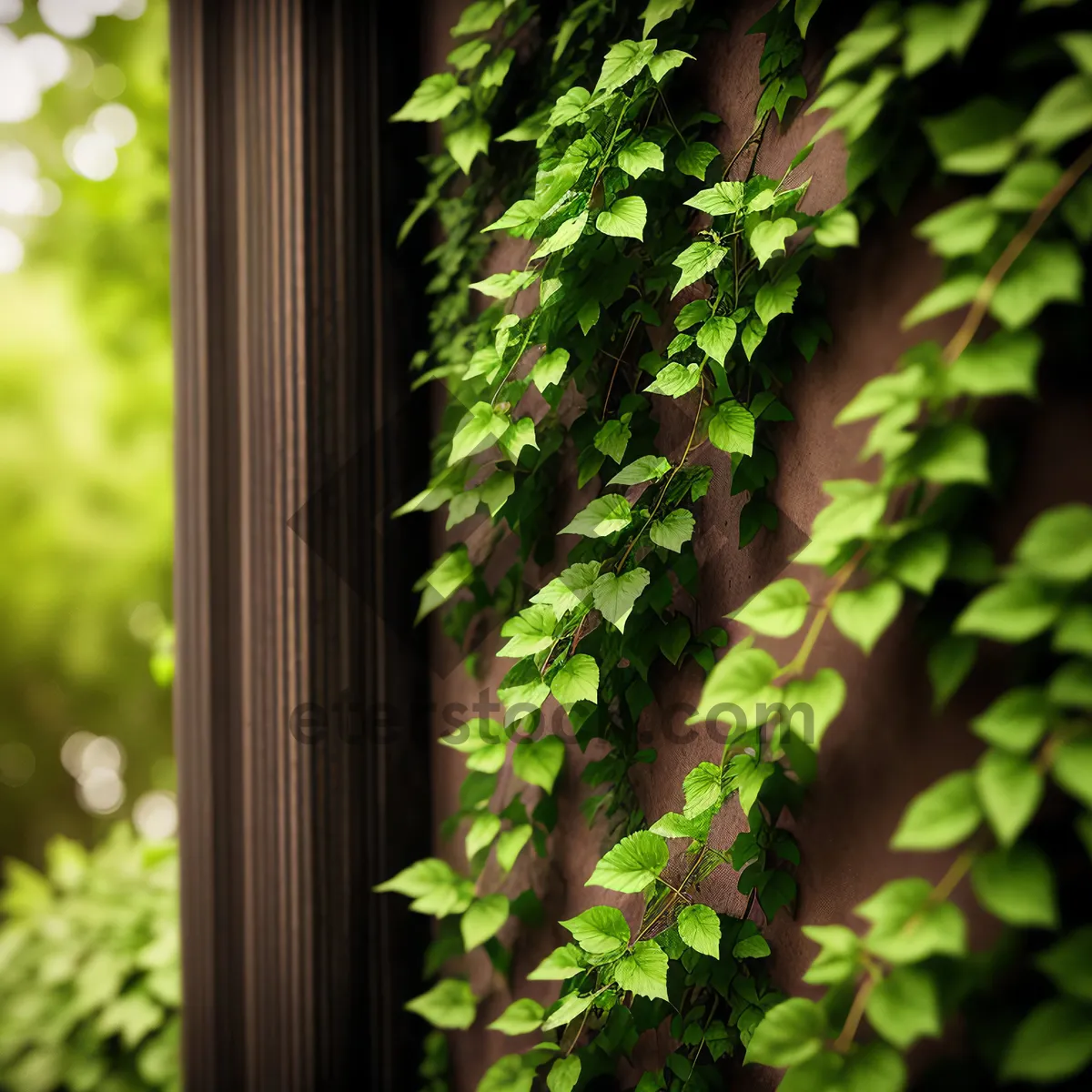 Picture of Leafy Green Beauty in a Sunlit Woodland