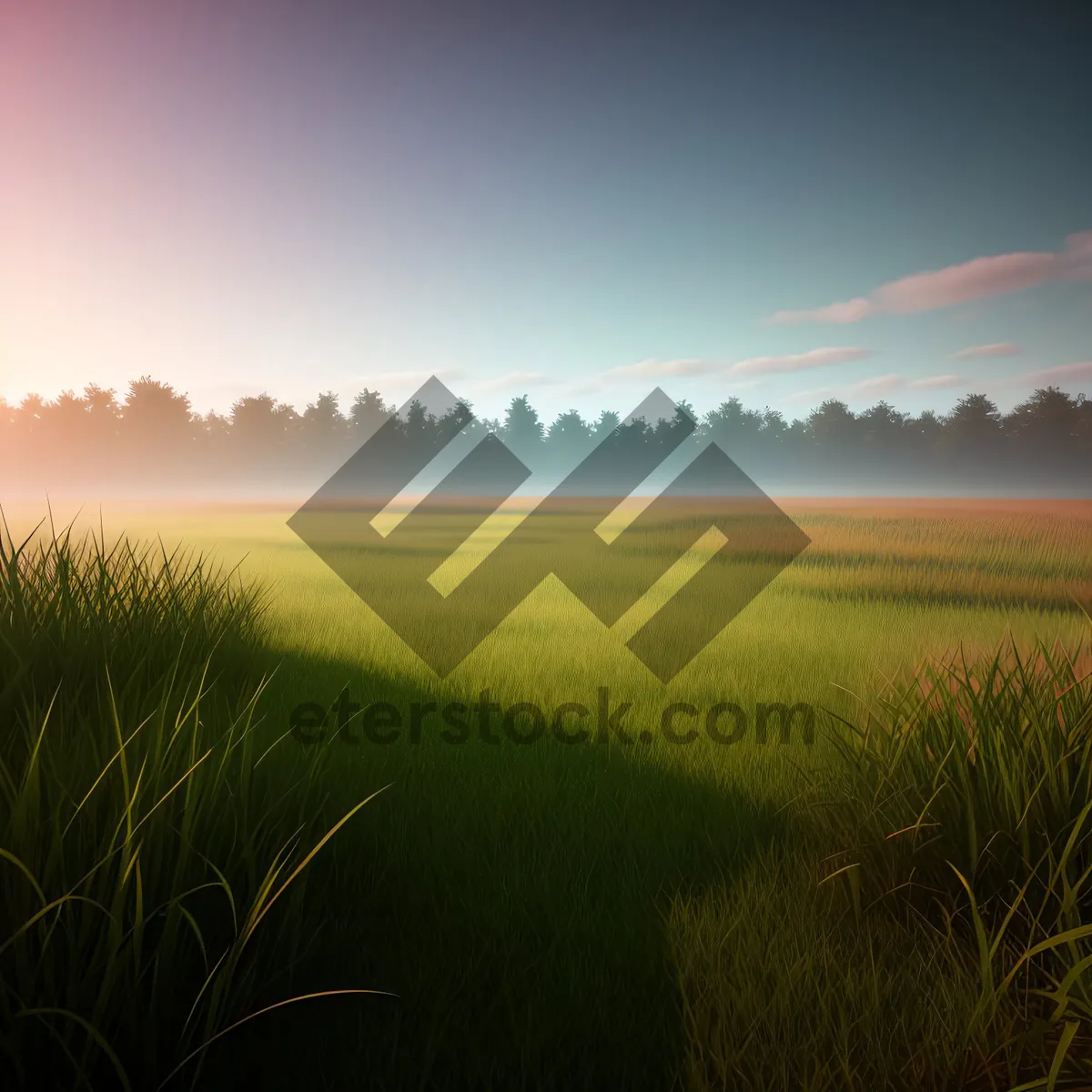 Picture of Serene Sunset Over Rural Wheat Field