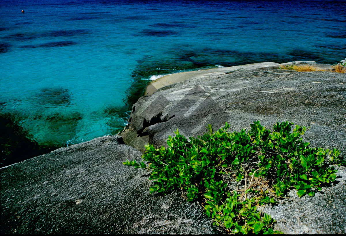 Picture of Tropical island beach paradise with rocky coastline cliffs. The colors and crystal clear water of the archipelago of the Similan Islands National Park, Thailand, Asia