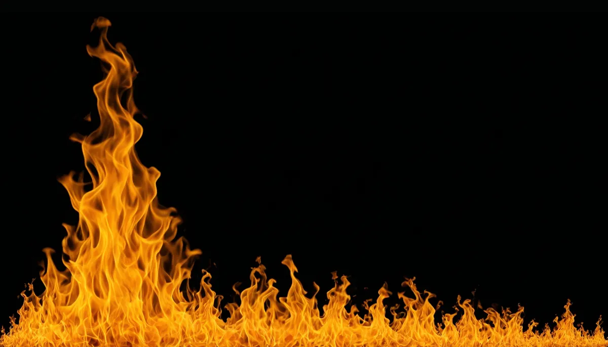 Picture of Fiery sunflower wallpaper design with black texture.