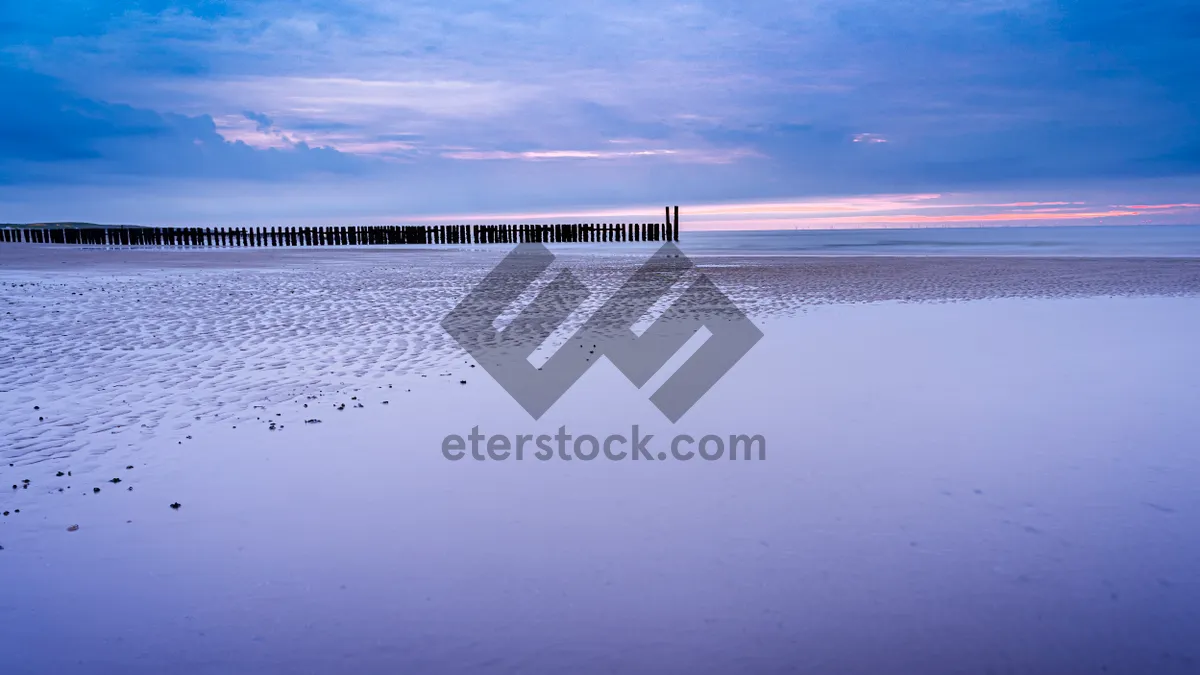 Picture of Tranquil coast under sun with ocean waves