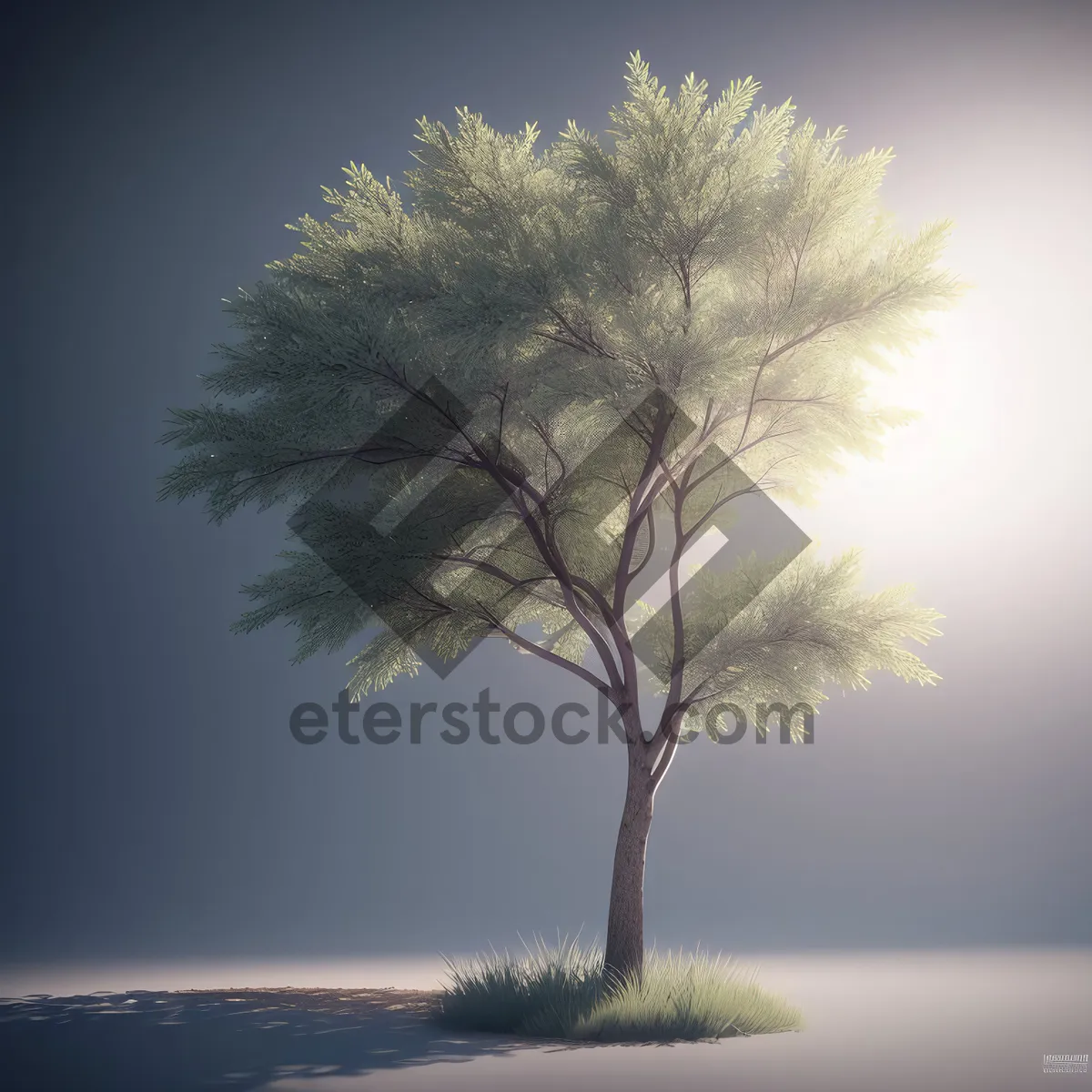 Picture of Majestic Oak Tree Silhouette in Rural Landscape